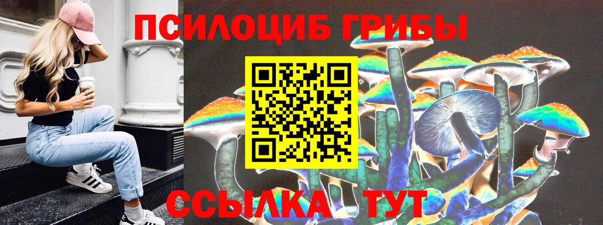 Псилоцибиновые грибы GOLDEN TEACHER  Галлюциногенные грибы Cubensis  Уссурийск  Вход с VPN 