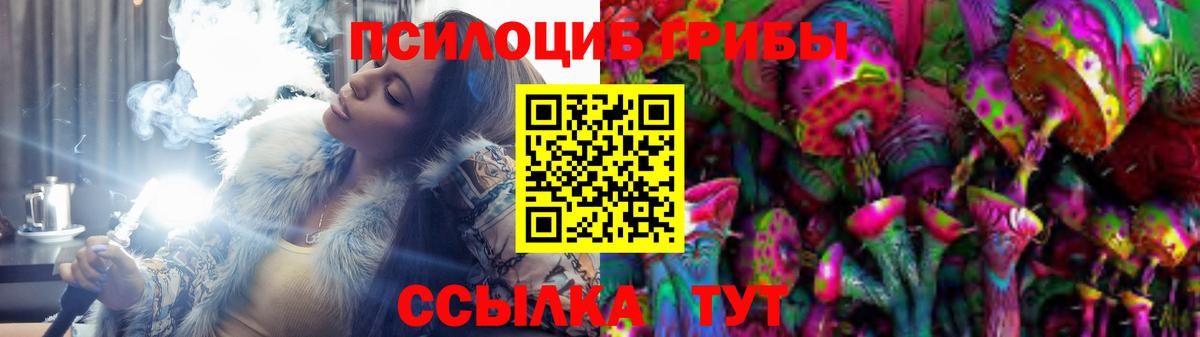 Псилоцибиновые грибы Cubensis Уссурийск